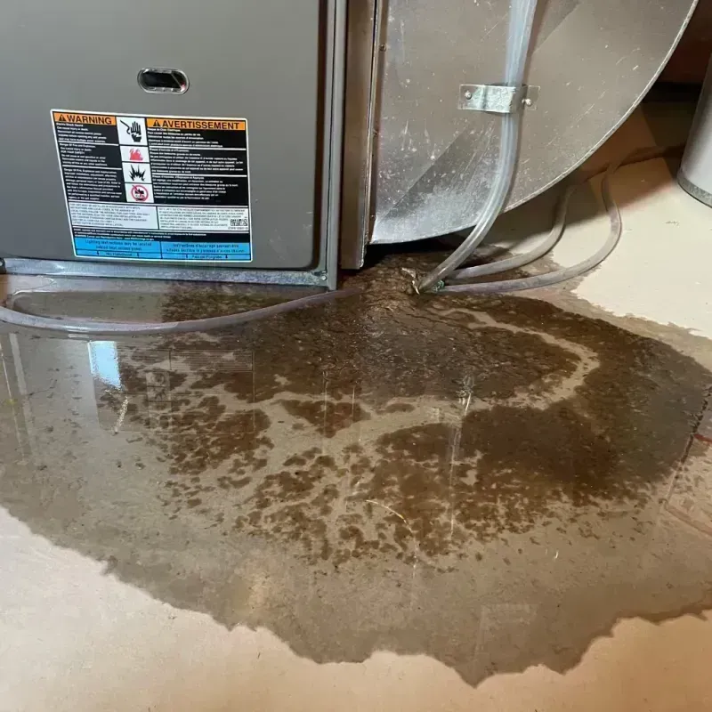 Appliance Leak Cleanup in Mount Olive, IL